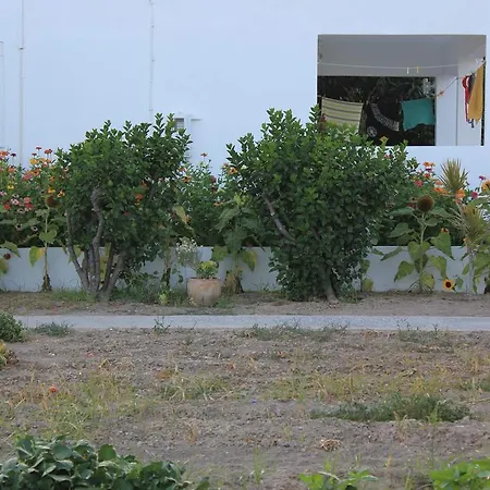 Anthoula * Kefalos (Kos)
